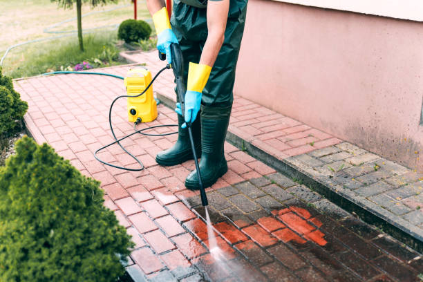 Best Roof Power Washing Services  in Pine Grove, PA