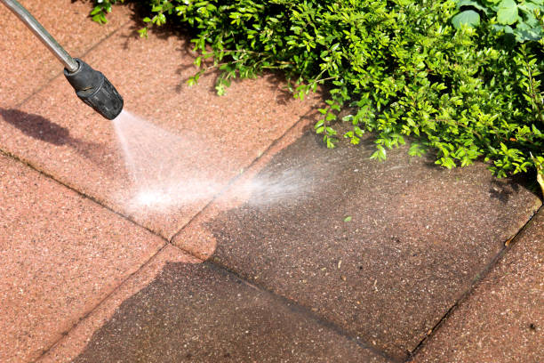Professional Pressure Washing in Pine Grove, PA